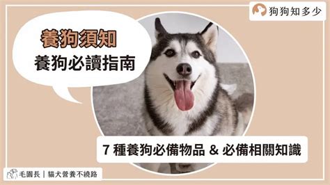 養狗注意事項|新手飼養狗狗11點建議 – 寵物百科